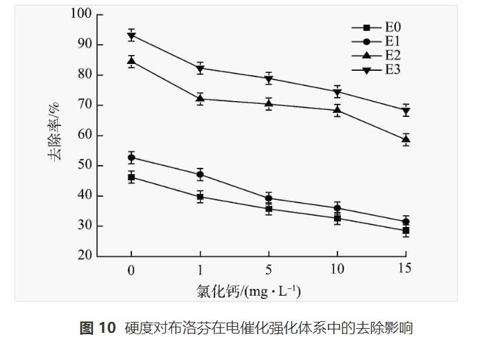电催化强化对布洛芬的去除效果(图13)