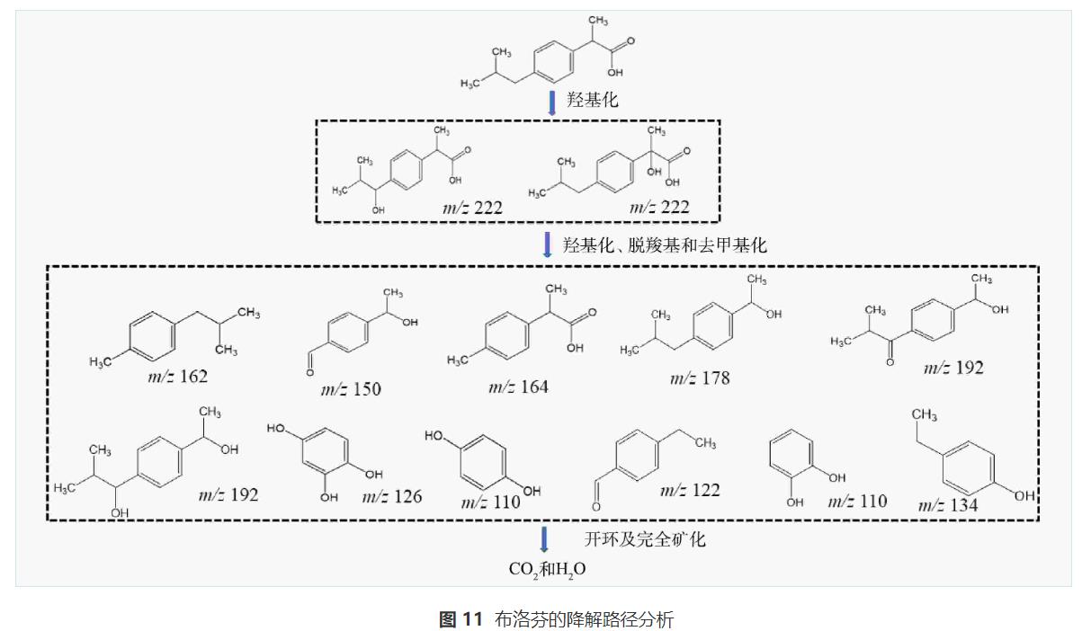 电催化强化对布洛芬的去除效果(图15)