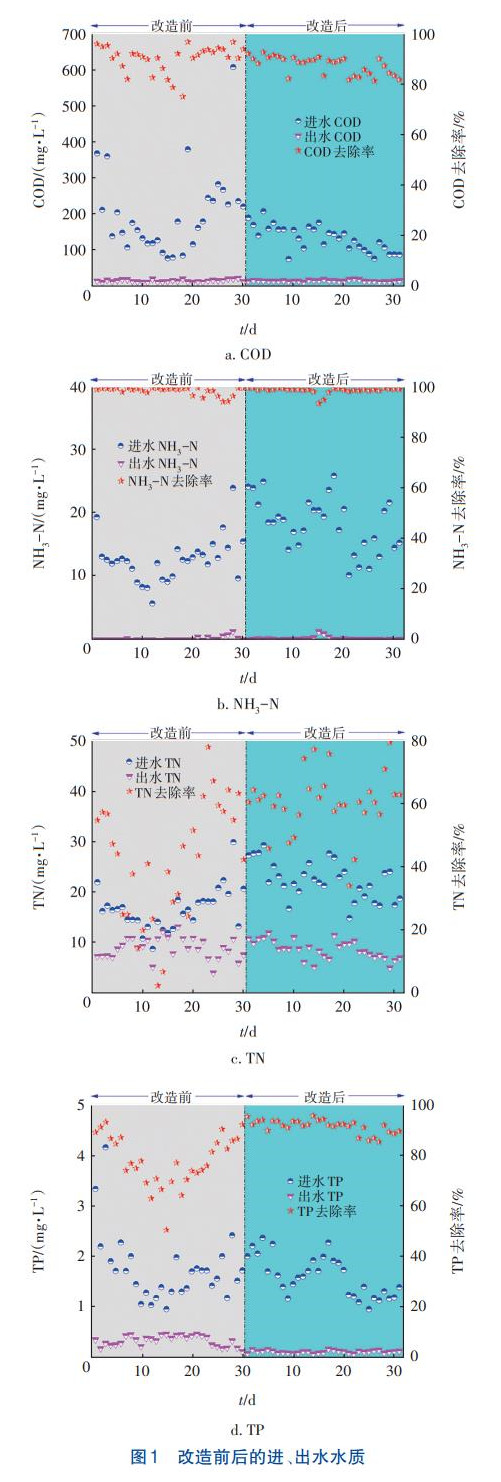 MBBR污水生化处理系统泥膜生物群落分析