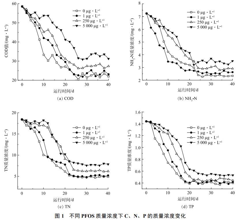 铝污泥人工湿地对含氟水体主要污染物的去除