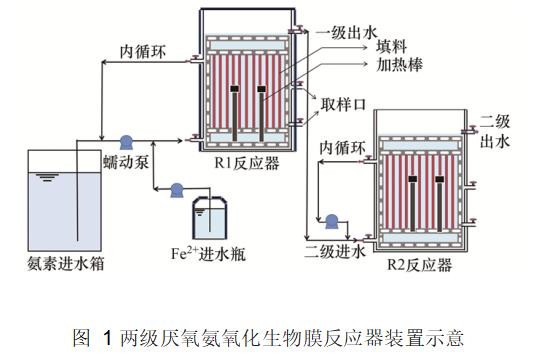 低总氮Fe2+促进ANAMMOX生物膜反