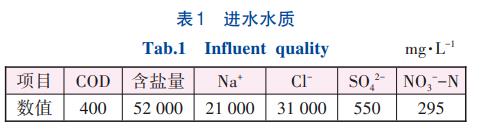 高盐废水零排放非均相催化臭氧氧化技术(图1)