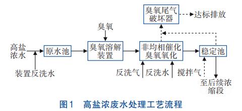 高盐废水零排放非均相催化臭氧氧化技术(图3)