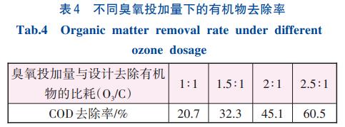高盐废水零排放非均相催化臭氧氧化技术(图5)