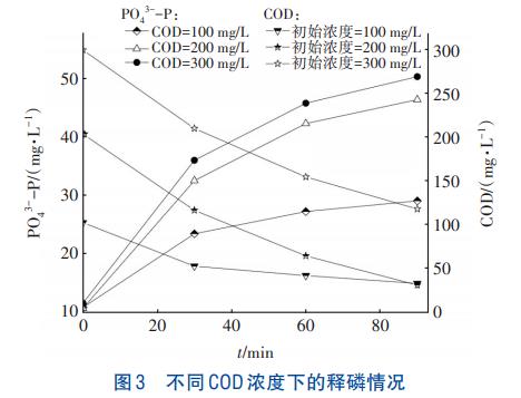 亚硝酸盐浓度对反硝化除磷的影响(图4)