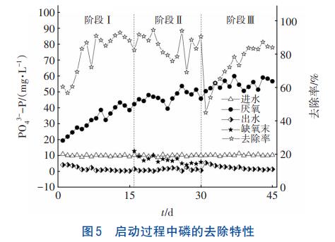 亚硝酸盐浓度对反硝化除磷的影响(图6)