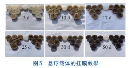 微污染水处理纯膜MBBR工艺(图5)