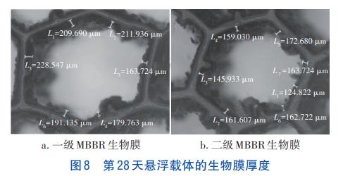 微污染水处理纯膜MBBR工艺(图8)