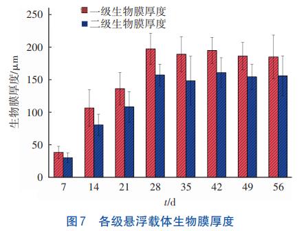 微污染水处理纯膜MBBR工艺(图7)