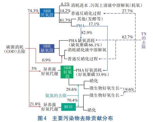 农村生活污水处理反硝化除磷技术(图5)