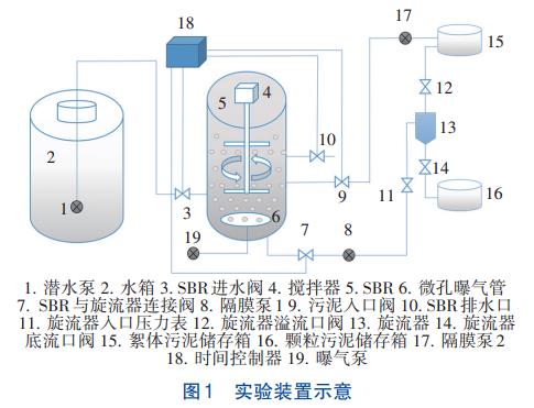 SBR耦合水力旋流器培养好氧颗粒污泥工艺(图1)