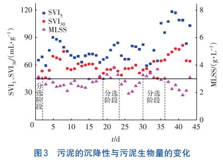 SBR耦合水力旋流器培养好氧颗粒污泥工艺(图3)