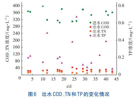 SBR耦合水力旋流器培养好氧颗粒污泥工艺(图7)