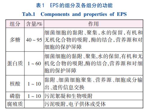 活性污泥胞外聚合物原位碳源化工艺(图1)