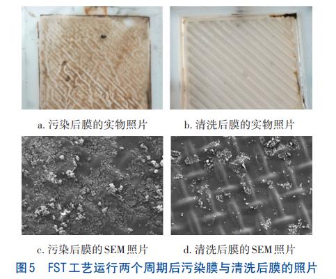 剩余活性污泥浓缩正渗透技术(图6)