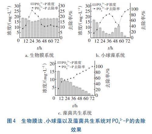 榨菜废水尾水强化处理藻菌共生技术(图4)